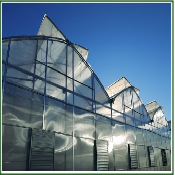 Greenhouses and Greenhouse construction in Iran