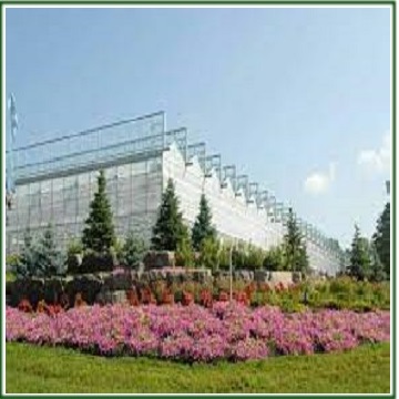 Greenhouses and Greenhouse construction in Iran
