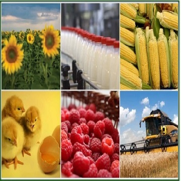 کشاورزی در اوکراین